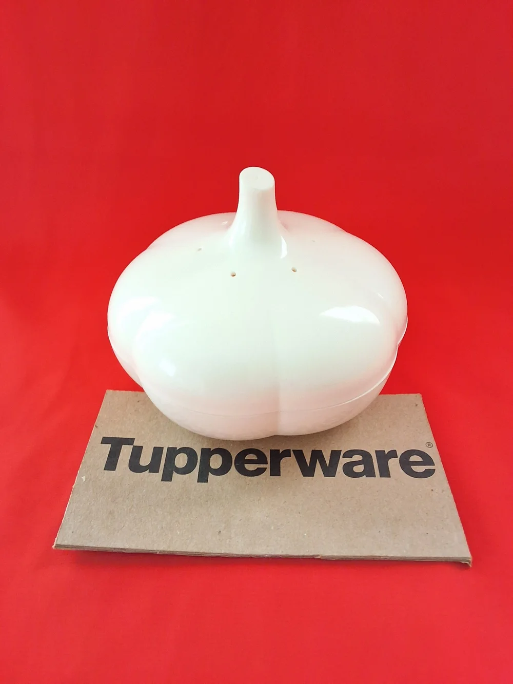 Tupperware Garlic Keeper